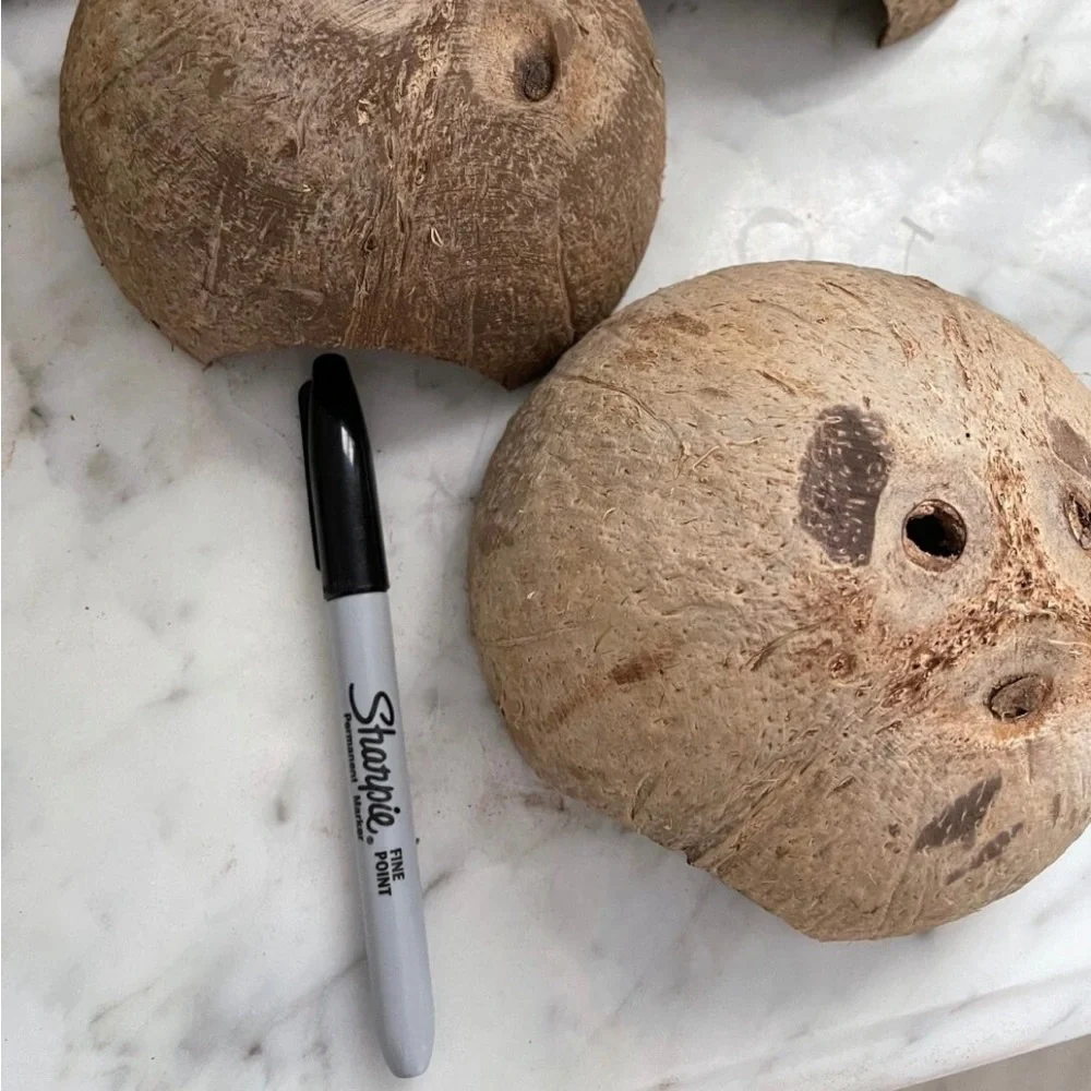 Coconut hut for small pets, reptiles, geckos, lizards, frog, fish, mice, etc